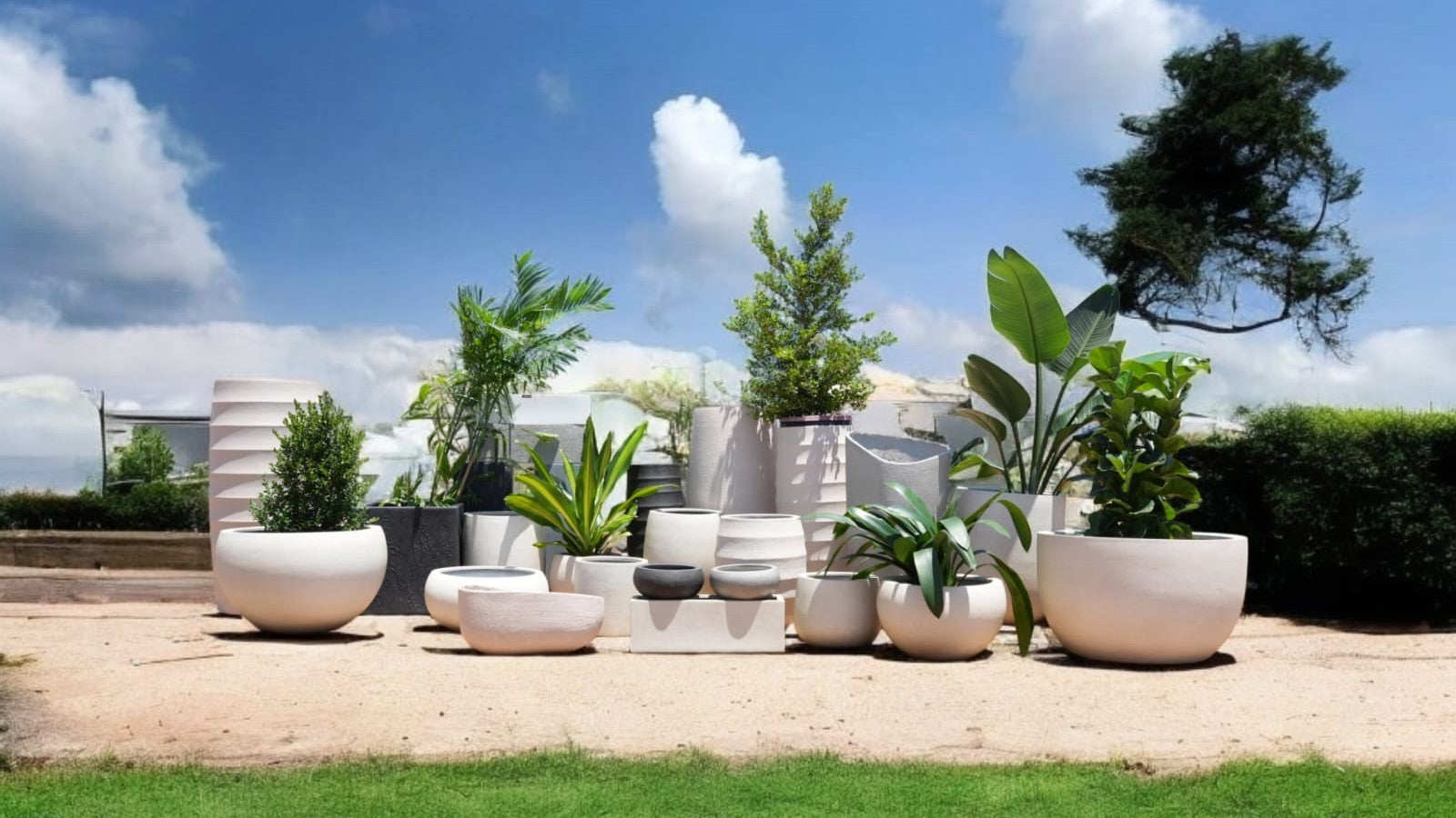 Enhance Your Space with Vibe Pottery's Fiberstone Planters