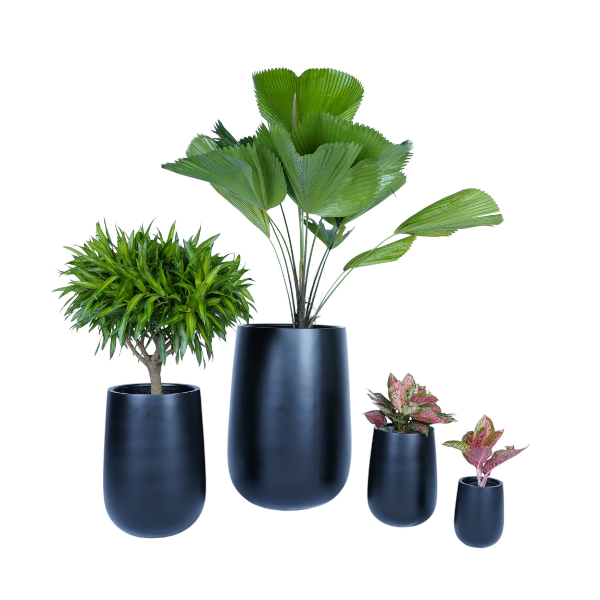 Pure Capsule Series – Sleek Elliptical Planter