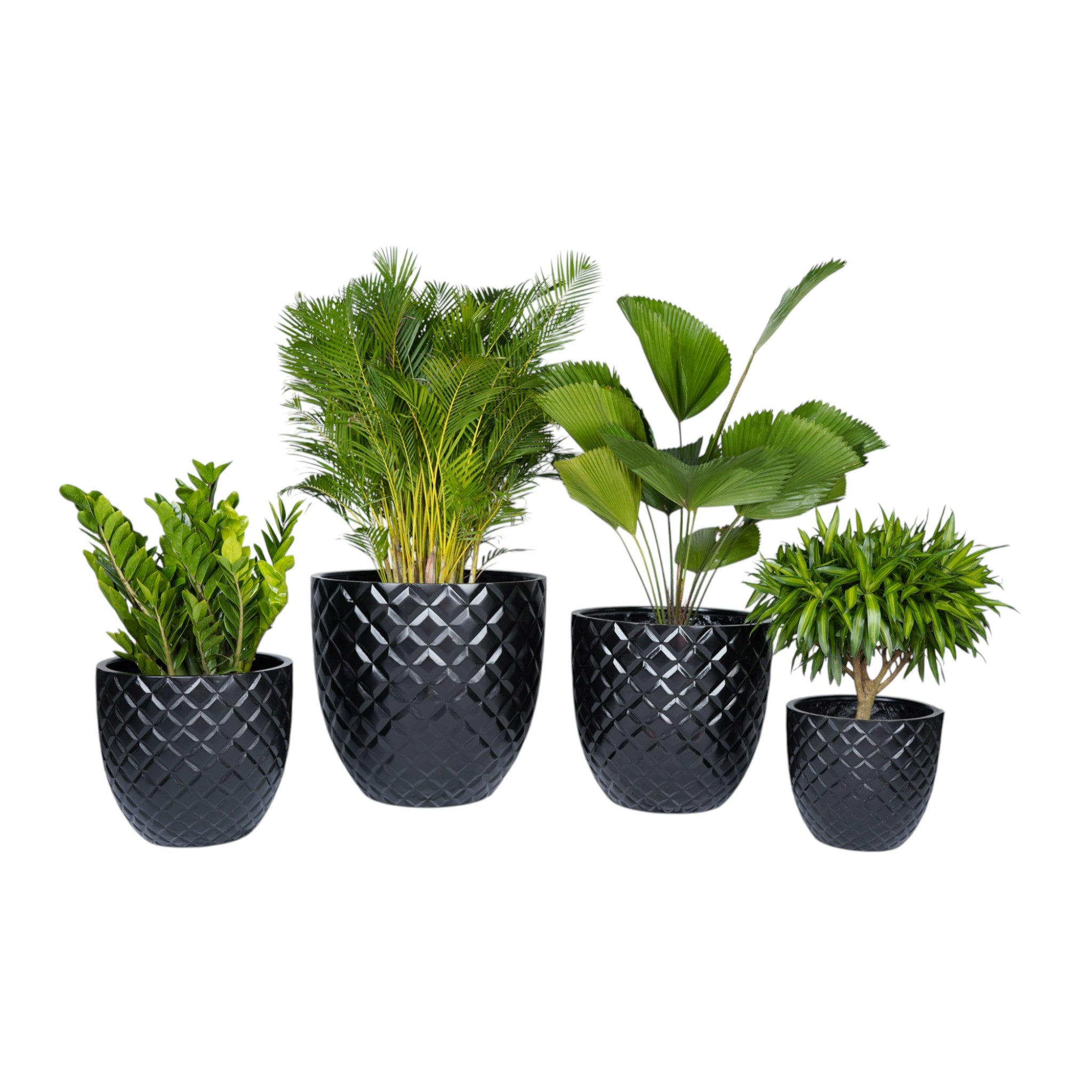 Woven Vista Series – Diamond Pattern Planter