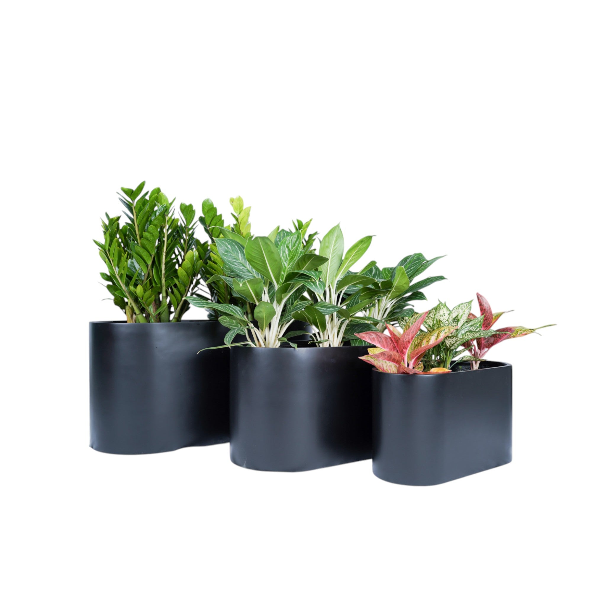 Flowform Series – Asymmetric Modern Planter
