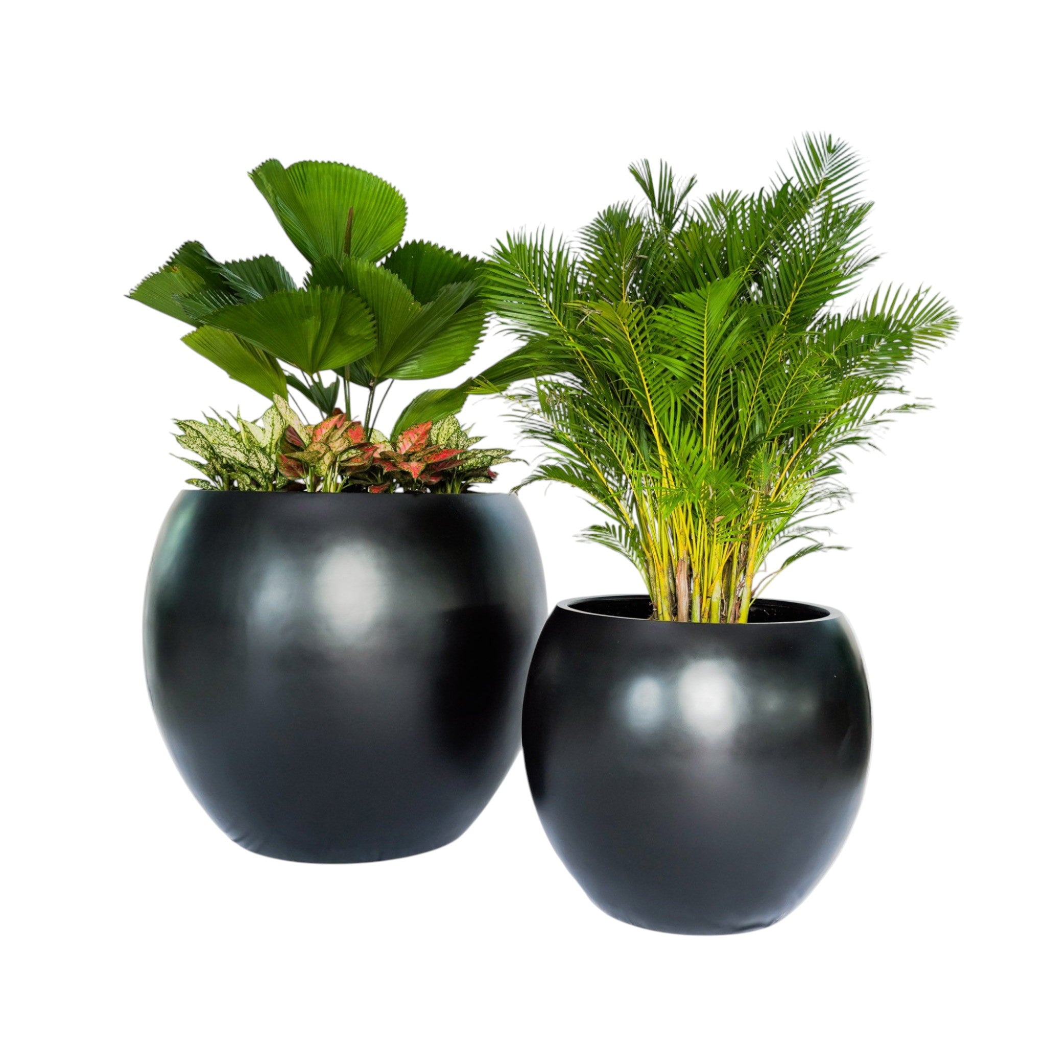 Orbiform Series – Smooth Contemporary Planter