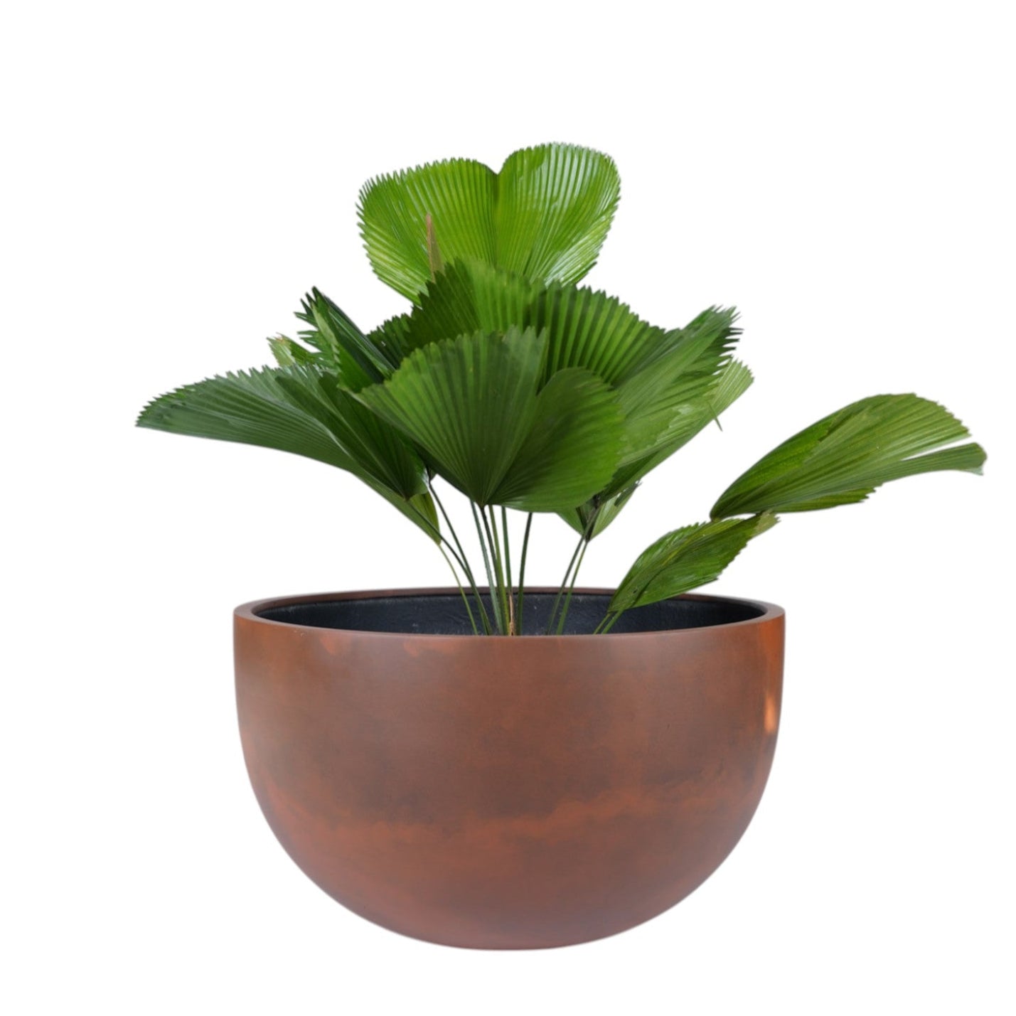 Low Horizon Series – Wide Bowl Planter