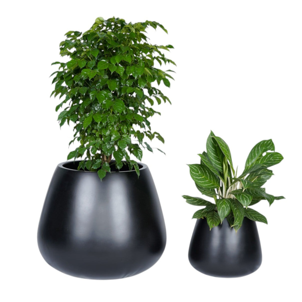 Serene Drop Series – Soft Tapered Planter