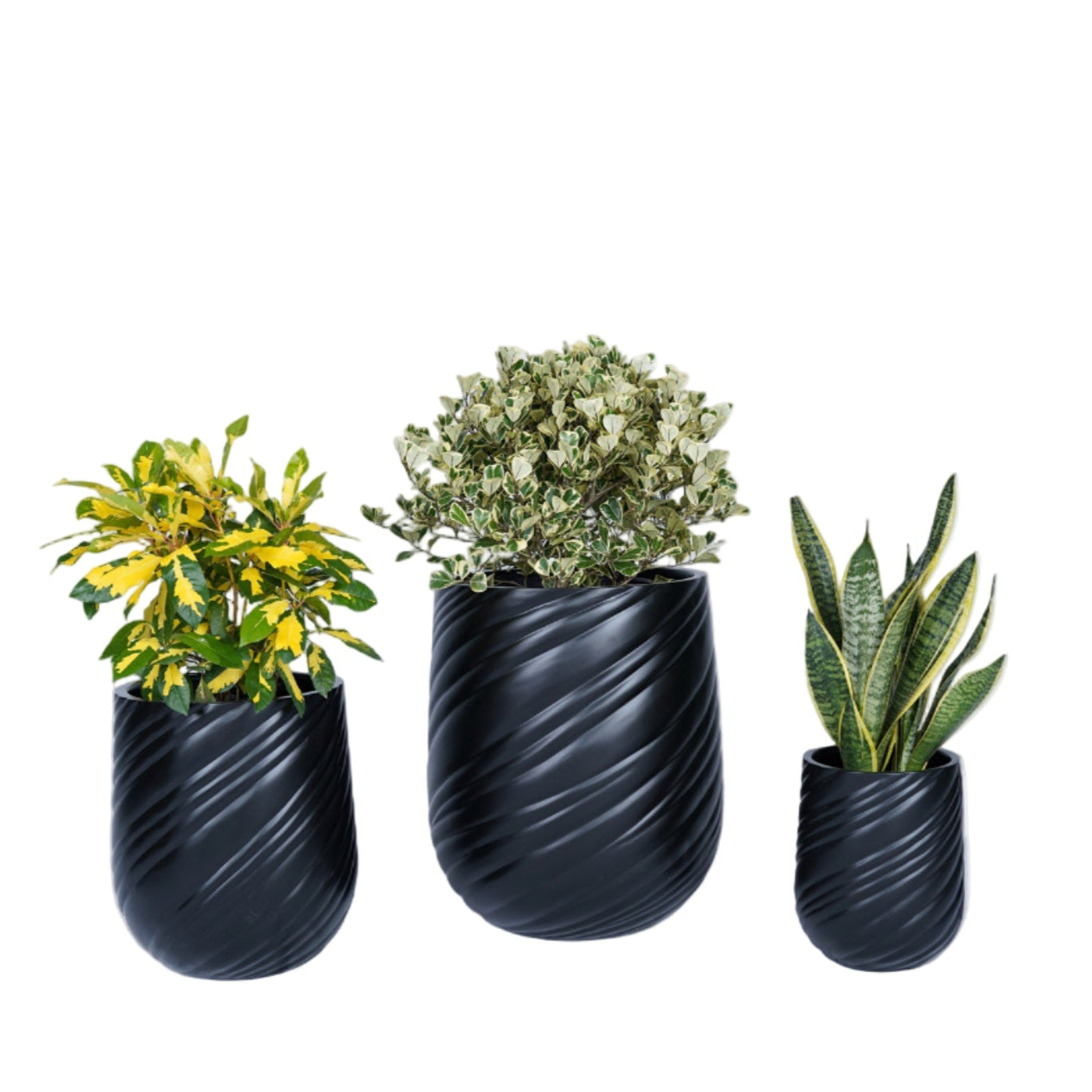 Spiral Drift Collection – Swirl Pattern Planter