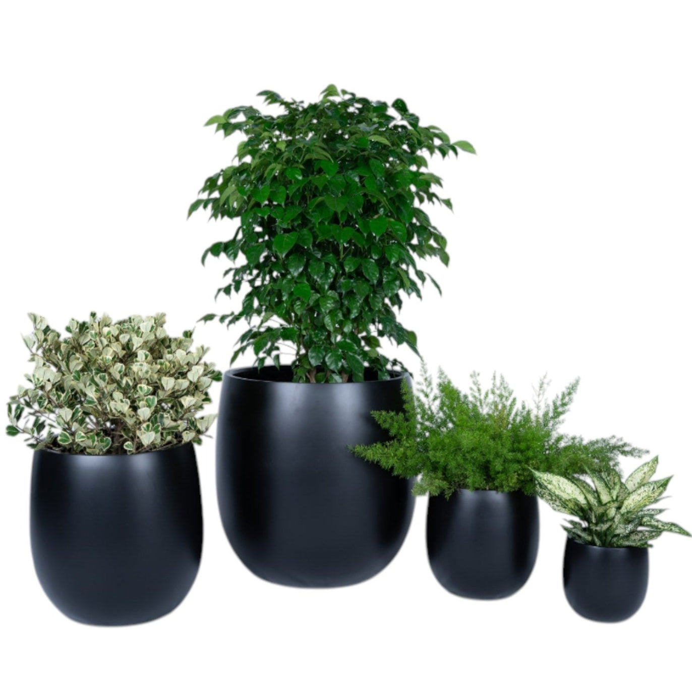 Harmony Bowl Series – Modern Rounded Planter