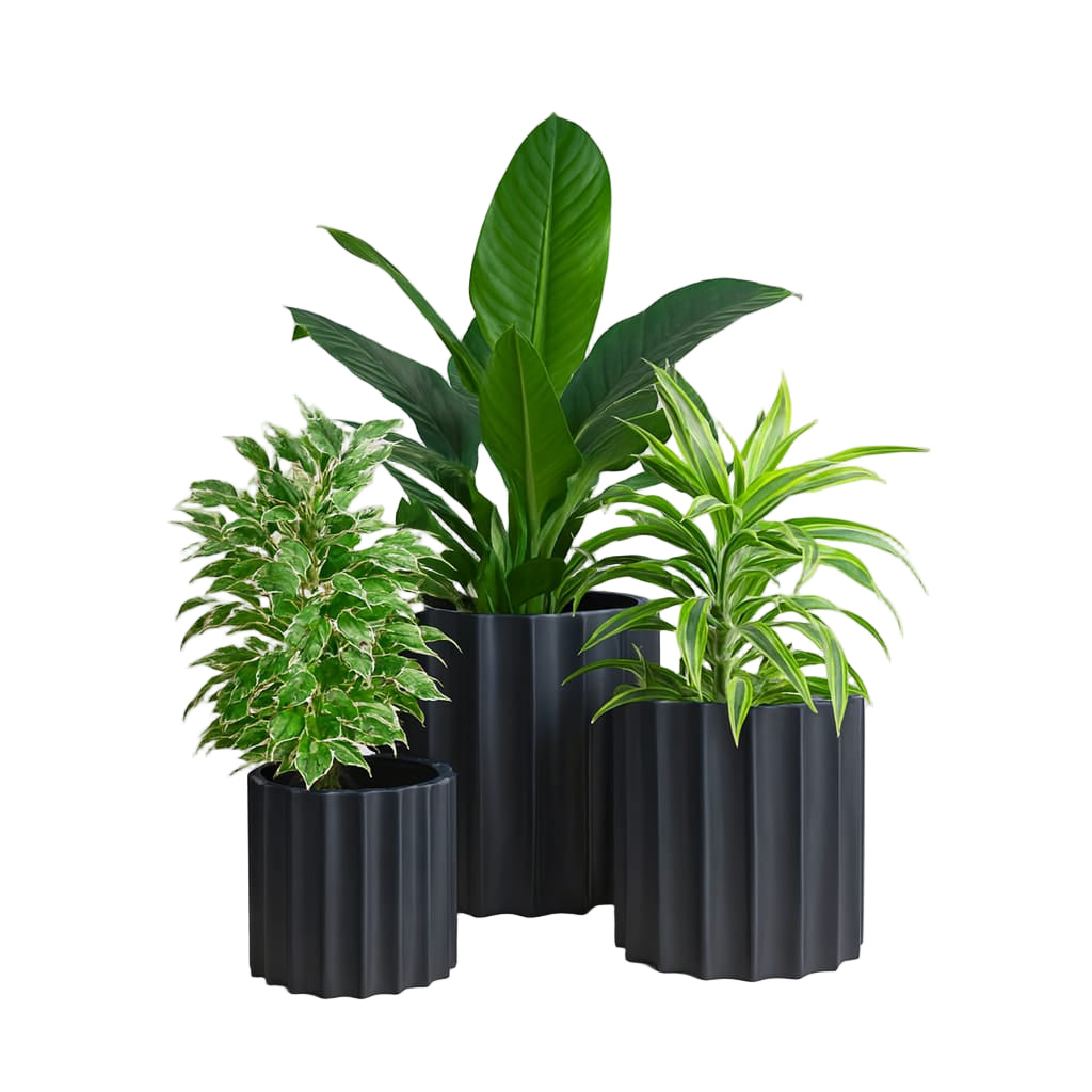 Waveform Series – Sculpted Fluted Planter